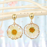 Dried Daisy Earrings